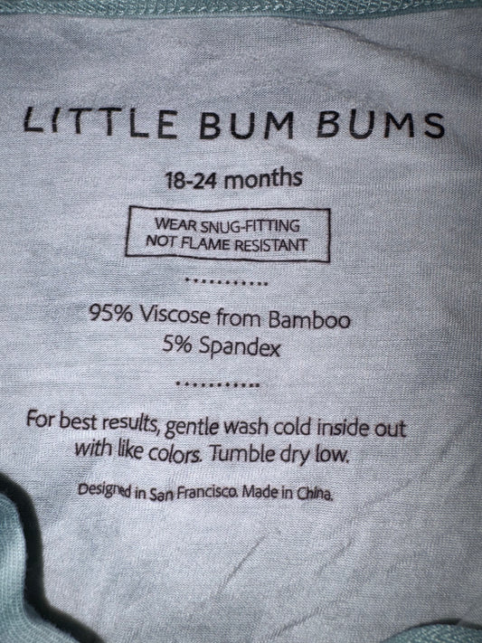 Bamboo Zipper Onesie - Size 18-24 Months (Little Bum Bum’s/Bum’s & Roses)