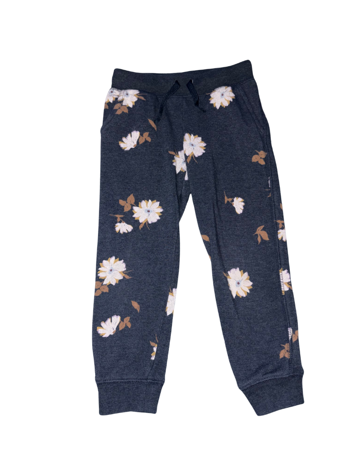 Lounge Set - Size 4T (OshKosh B’gosh)