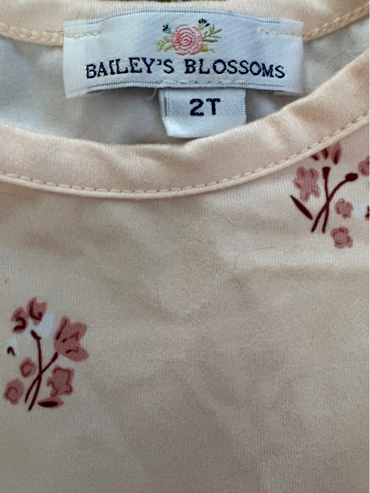 Ruffle Sleeve Dress - Size 2T (Bailey’s Blossoms)