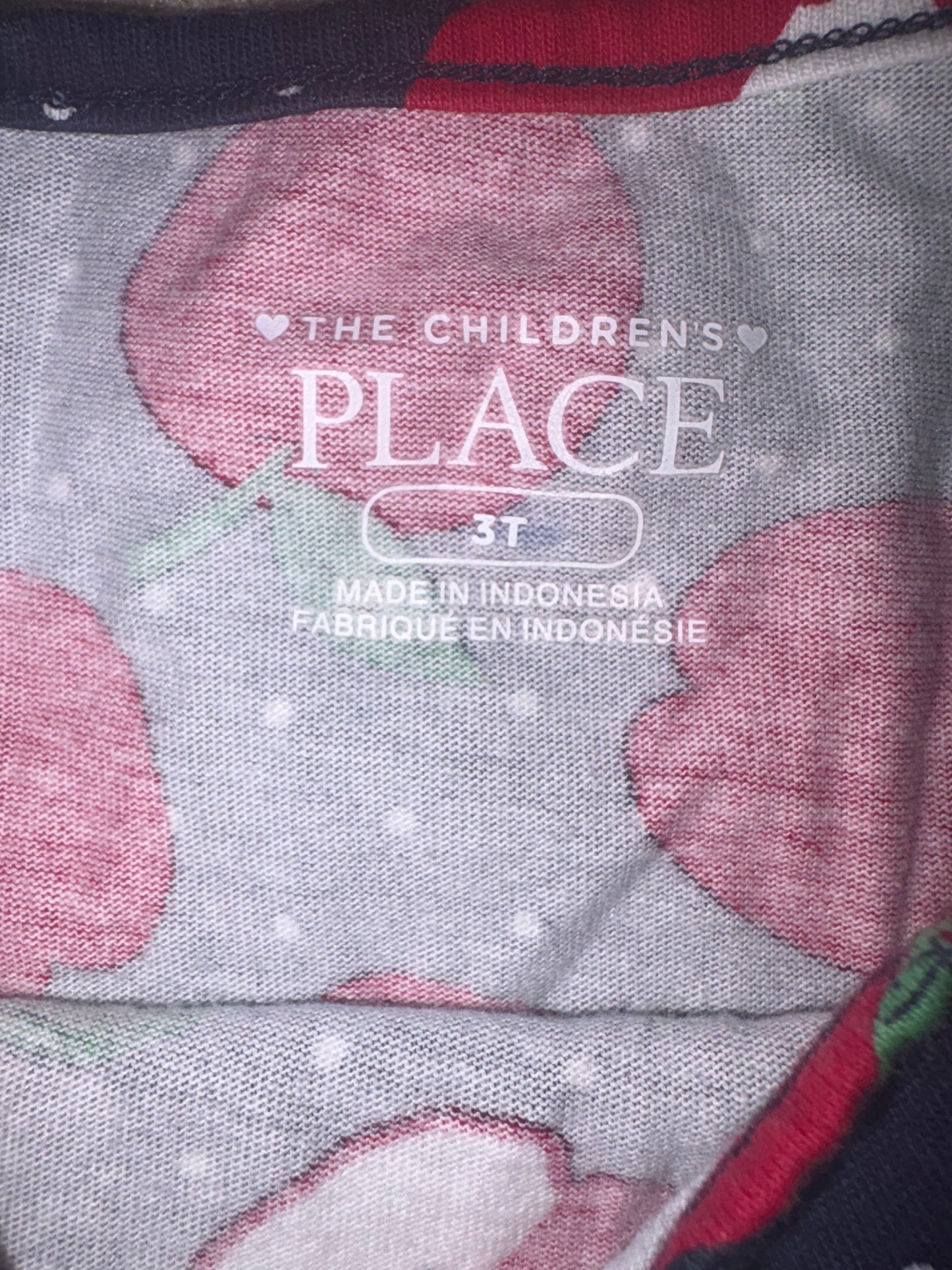 Apple Dress - Size 3T (The Children’s Place)