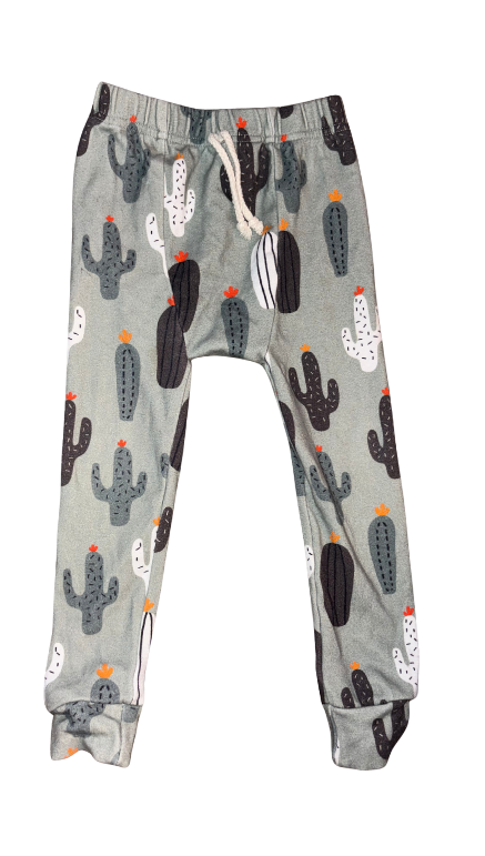 Cactus Long Sleeve Set - Size 3T (Little One Shop)