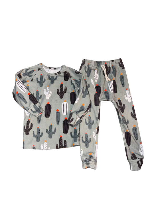 Cactus Long Sleeve Set - Size 3T (Little One Shop)